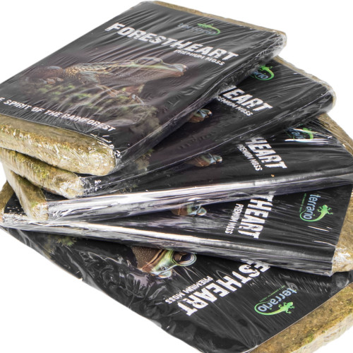 Terrario ForestHeart Sphagnum Moss - mech torfowiec 100g