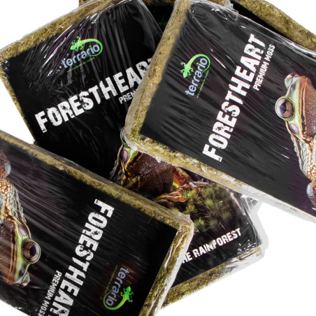 Terrario ForestHeart Sphagnum Moss - mech torfowiec 100g