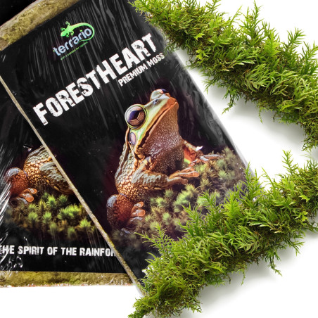 Terrario ForestHeart Sphagnum Moss - mech torfowiec 100g