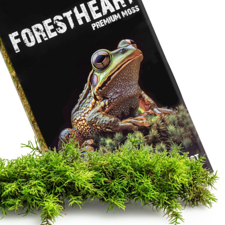 Terrario ForestHeart Sphagnum Moss - mech torfowiec 100g