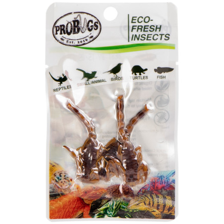 ProBugs Eco-Fresh Scorpion 3pcs - świeże skorpiony