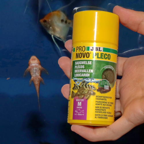 JBL Pronovo Pleco Wafer M 100ml - idealny dla glonojadów, wspiera zdrowie i apetyt
