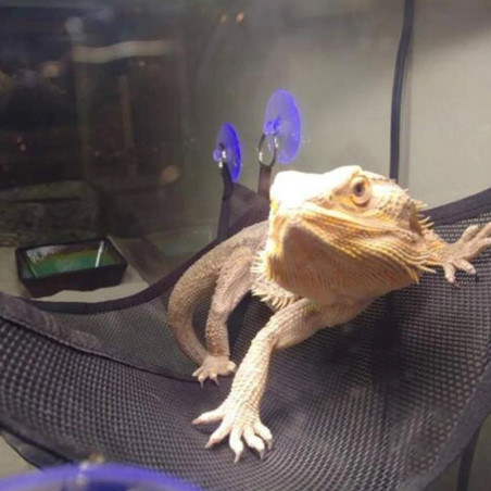 Repti-Zoo Hammock S - Idealny do terrarium, miękki i łatwy montaż