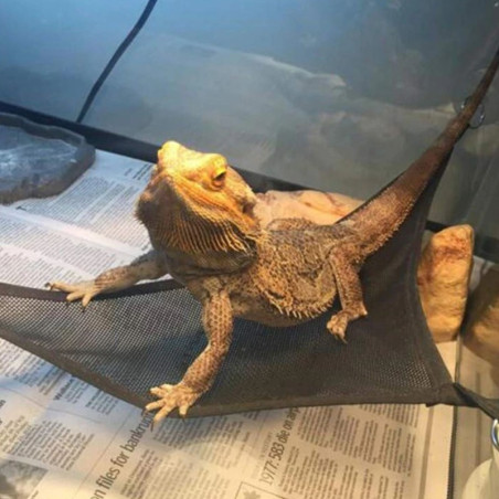 Repti-Zoo Hammock S - Idealny do terrarium, miękki i łatwy montaż