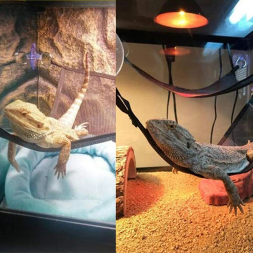 Repti-Zoo Hammock S - Idealny do terrarium, miękki i łatwy montaż