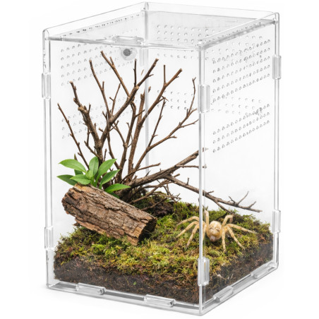Terrarium akrylowe Terrario MicroAir Hab 12×12×20 cm