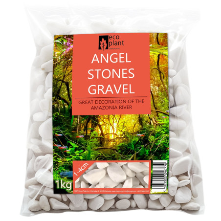 Eco Plant Angel Stones 1kg białe otoczaki 10-40mm - Idealne do akwarium