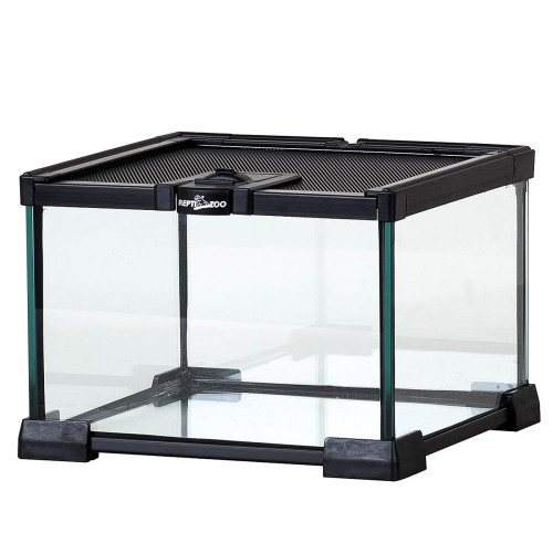 Repti-Zoo Simple Habitat terrarium 31x31x30 - Idealne dla małych gadów