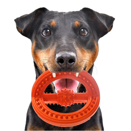 HappyPet Frame Ball - gumowa piłka | Wytrzymała i bezpieczna do aportu