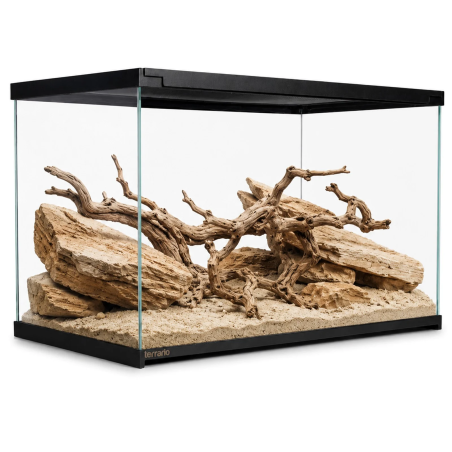 Terrarium szklane Terrario Frevo Clear 50×30×30 cm
