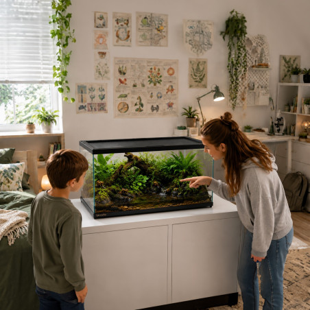 Terrarium szklane Terrario Frevo Clear 50×30×30 cm