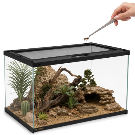Terrarium szklane Terrario Frevo Clear 50×30×30 cm