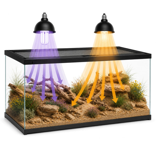 Terrarium szklane Terrario Frevo Clear 50×30×30 cm