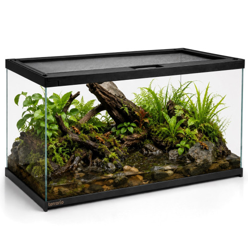 Terrarium szklane Terrario Frevo Clear 50×30×30 cm