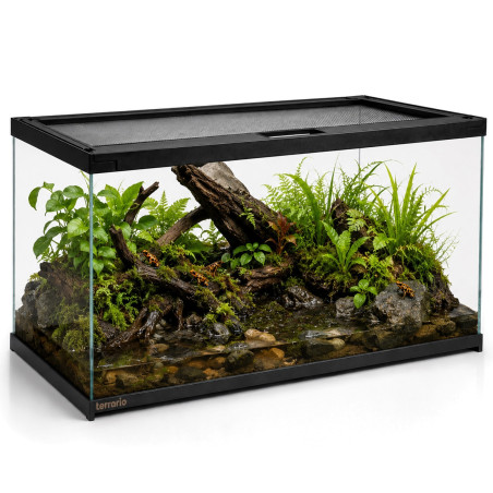Terrarium szklane Terrario Frevo Clear 50×30×30 cm