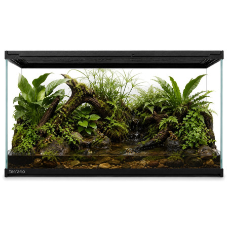 Terrarium szklane Terrario Frevo Clear 50×30×30 cm
