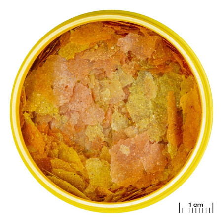 JBL Pronovo Color Flakes M 100ml - Wzmacnia kolory ryb