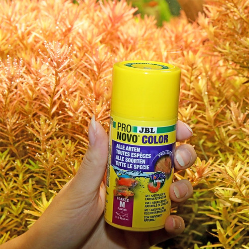 JBL Pronovo Color Flakes M 100ml - Wzmacnia kolory ryb