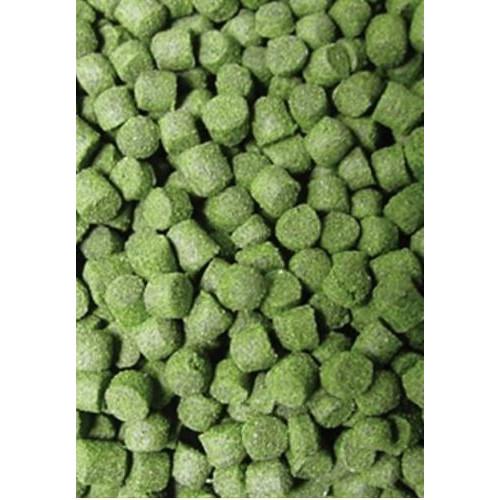 Ocean Nutrition Formula Two Pellets S 100g - Idealny dla małych ryb morskich