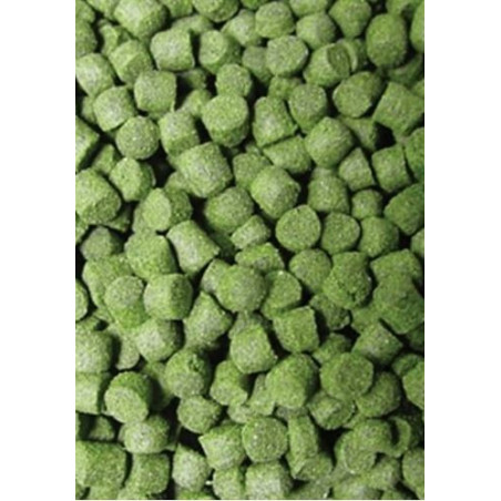 Ocean Nutrition Formula Two Pellets S 100g - Idealny dla małych ryb morskich
