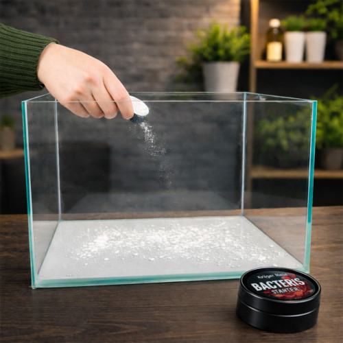 Preparat bakteryjny Kruger Meier Bacteris Starter 10 g - szybki start akwarium