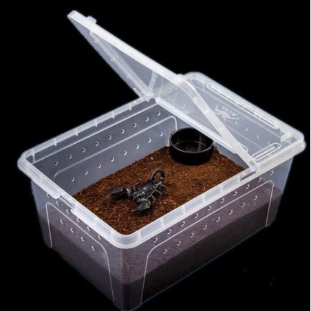 Terrario Terrarium Faunarium 26x18x13cm - Idealne dla gadów i płazów