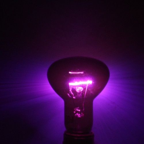 Repti-Zoo Moonlight Heat 50W - Idealna do terrarium