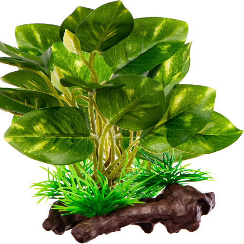 Kruger Meier Plant Ficus Root - roślinka sztuczna | Idealna do akwarium słodkowodnego