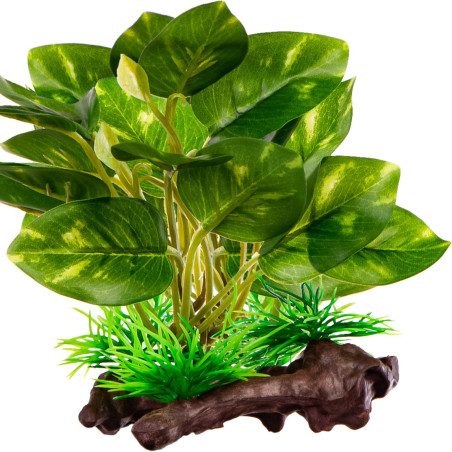 Kruger Meier Plant Ficus Root - roślinka sztuczna | Idealna do akwarium słodkowodnego