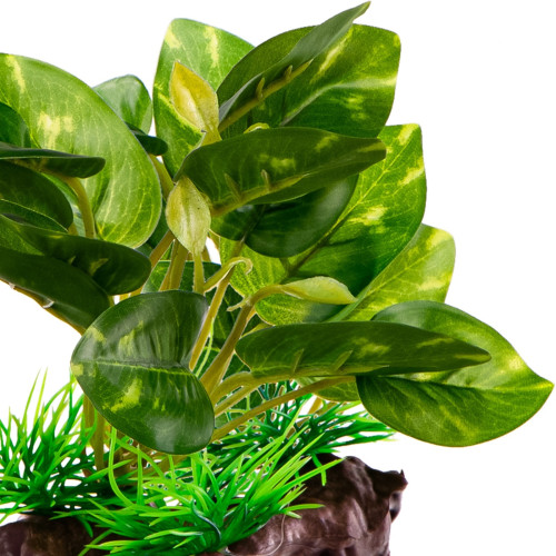 Kruger Meier Plant Ficus Root - roślinka sztuczna | Idealna do akwarium słodkowodnego