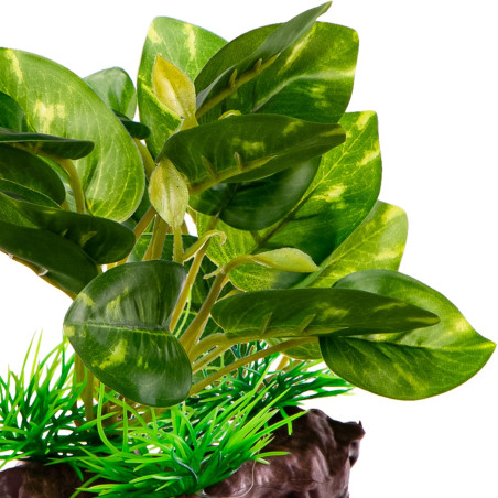 Kruger Meier Plant Ficus Root - roślinka sztuczna | Idealna do akwarium słodkowodnego