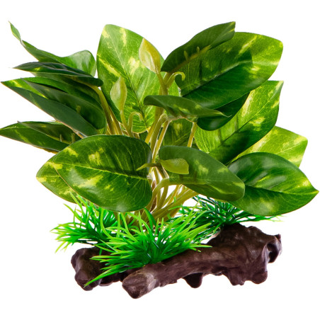 Kruger Meier Plant Ficus Root - roślinka sztuczna | Idealna do akwarium słodkowodnego