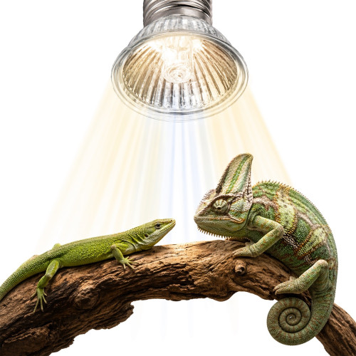 Mini halogen grzewczy Terrario Tayenna 50W UVB