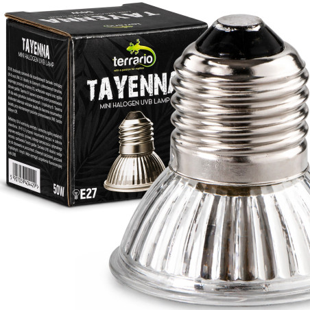 Mini halogen grzewczy Terrario Tayenna 50W UVB