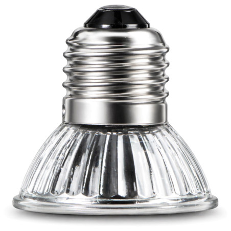 Mini halogen grzewczy Terrario Tayenna 50W UVB