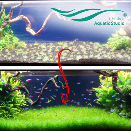 Podłoże aktywne Chihiros Aqua Soil 9 l - odżywcze dla roślin akwariowych