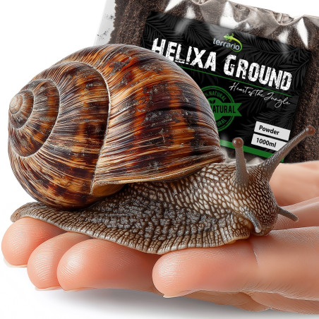 Podłoże Terrario Helixa Ground 1 l dla ślimaków