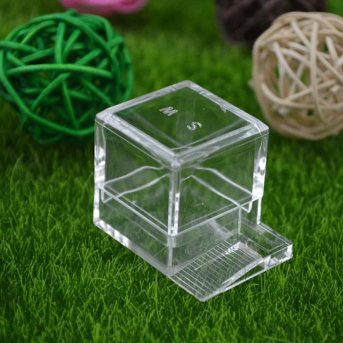 Ant Expert Ant Feeder - karmnik dla mrówek | Szybkie karmienie i łatwe czyszczenie