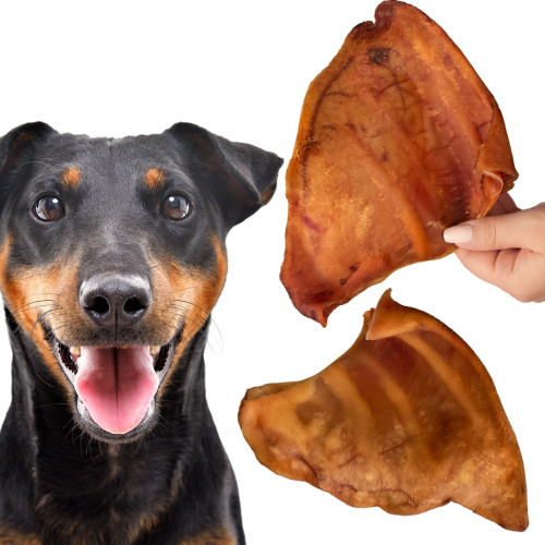 Dogario Bonni Pig's Ear L x50 - Hurtowa paczka, naturalna przekąska