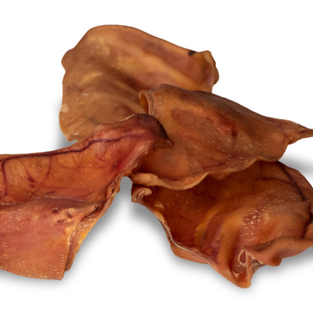 Dogario Bonni Pig's Ear L x50 - Hurtowa paczka, naturalna przekąska
