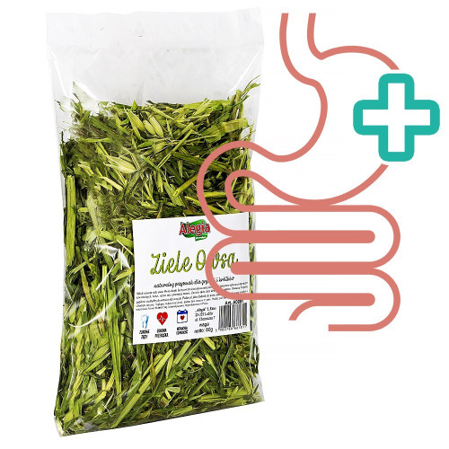 Ziele owsa Alegia 80 g dla gryzoni