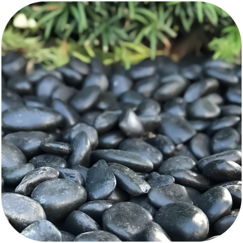 Eco Plant Devil Stones 1kg - Idealne do akwarium | czarne otoczaki 20-50mm