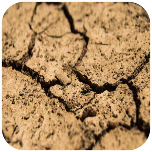 Terrario Monument Mud 1kg | Idealne do terrarium, naturalne podłoże z gliny