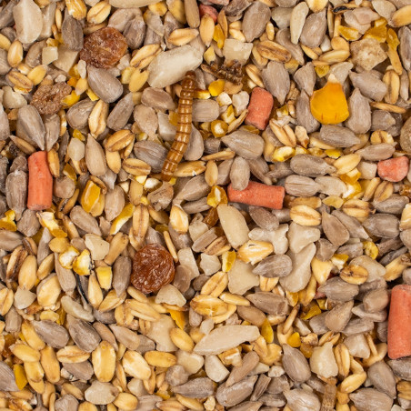 Deli Nature Booster Mix 850g - Przyciąga ptaki zimą, bogaty w witaminy