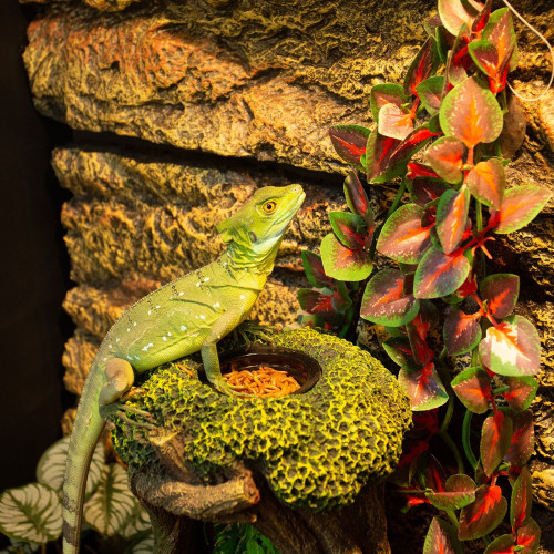Fontanna wodospadowa Repti-Zoo DF13 Tree - naturalna dekoracja nawilżająca do terrarium