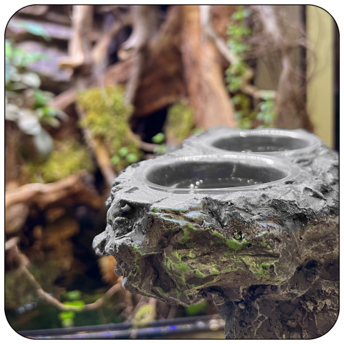 Resun Hanging Stone Dish - idealna miska wisząca do terrarium