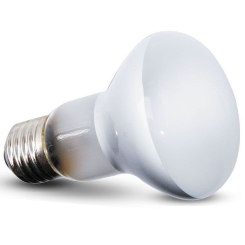 Repti-Zoo Beam Spot 60W - Skuteczne ogrzewanie terrarium dla gadów