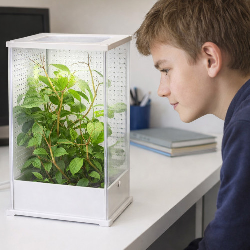 Terrarium akrylowe Terrario TerraLoom L 12×10×20 cm