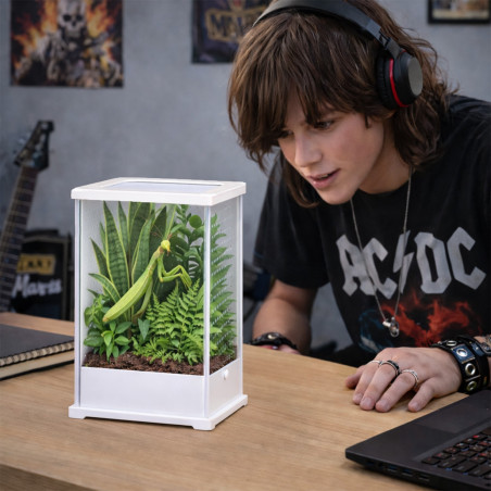 Terrarium akrylowe Terrario TerraLoom L 12×10×20 cm