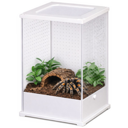 Terrarium akrylowe Terrario TerraLoom L 12×10×20 cm